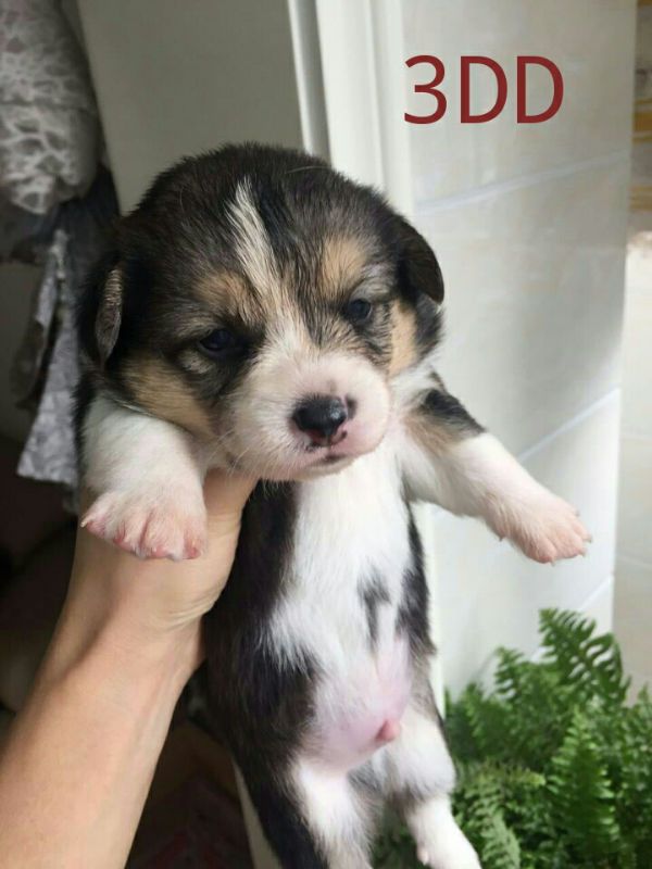 88810