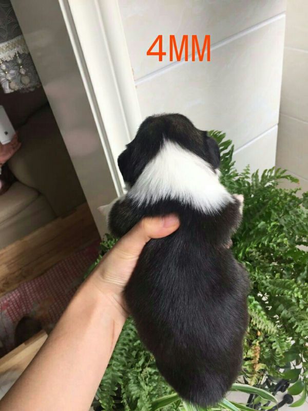88813