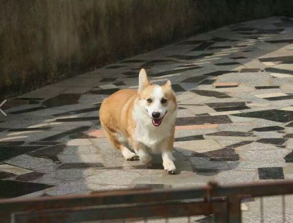 父亲12.jpg