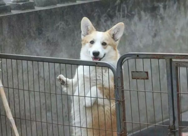 父亲.jpg