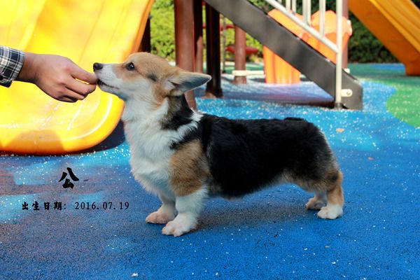 IMG_8307.JPG