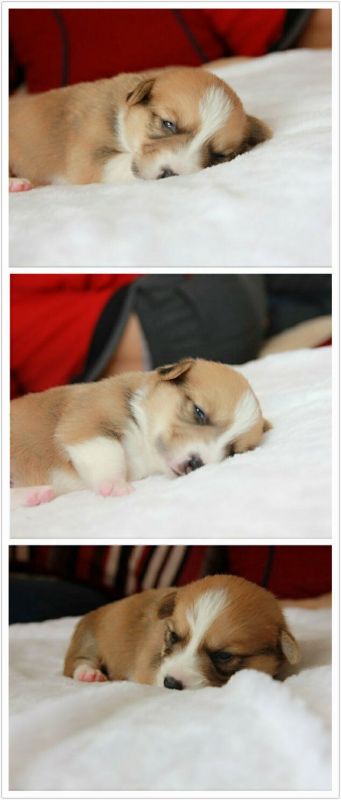 QQ图片20161110150722.jpg