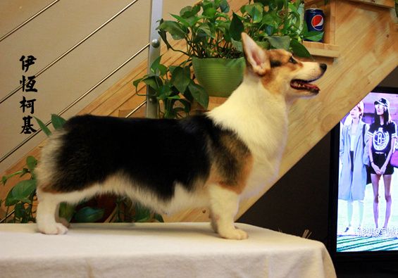 IMG_8060_副本.jpg