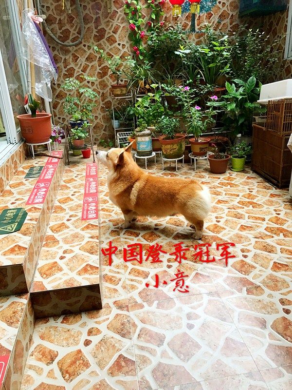 小意2.jpg