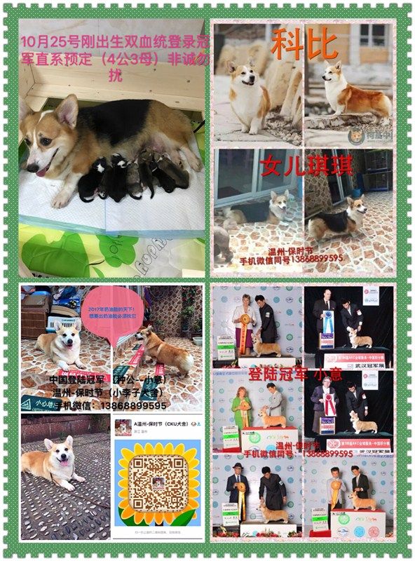 小意配琪琪.jpg