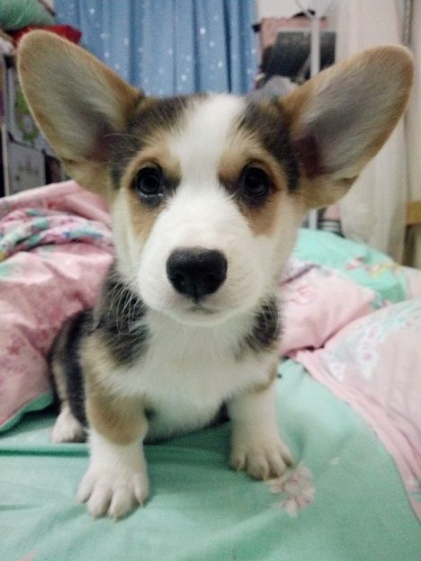 IMG20161111232645_副本.jpg