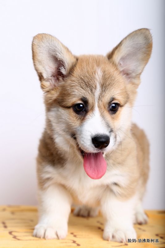IMG_9499.JPG
