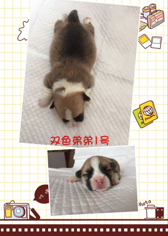 IMG_0982_调整大小.JPG