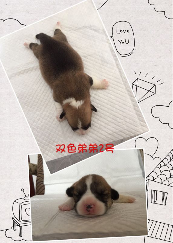 IMG_0983_调整大小.JPG
