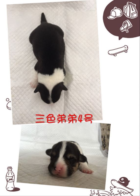 IMG_0985_调整大小.JPG