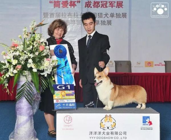 瑞瑞