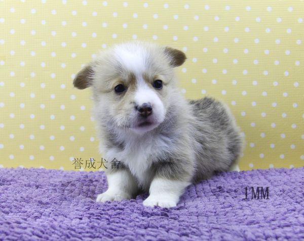 1MM (2)_看图王.jpg