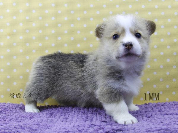 1MM (5)_看图王.jpg