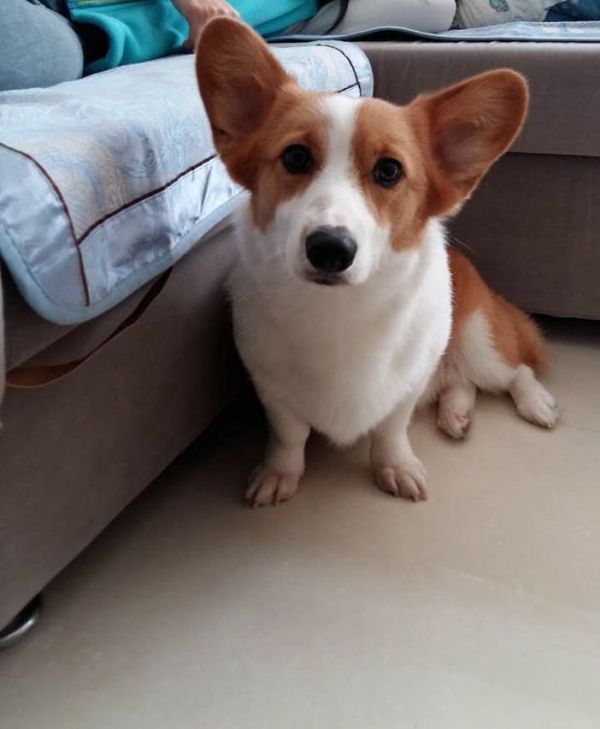 这是妈妈