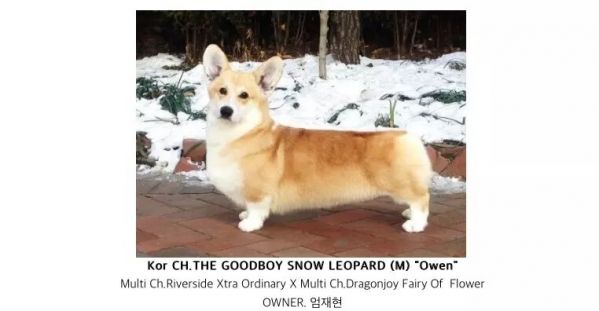 爸爸中韩世界登陆冠军OWEN