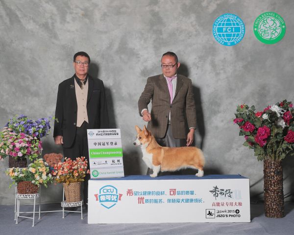 妈妈中国登陆冠军美乐迪