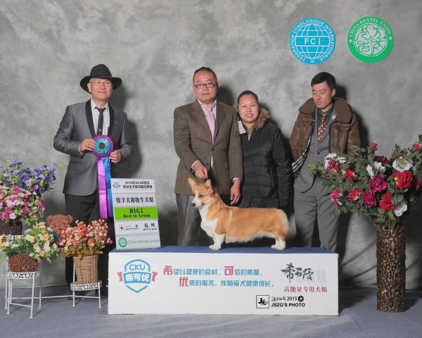 中国登陆冠军美乐迪