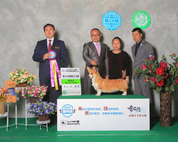 妈妈中国登陆冠军美乐迪