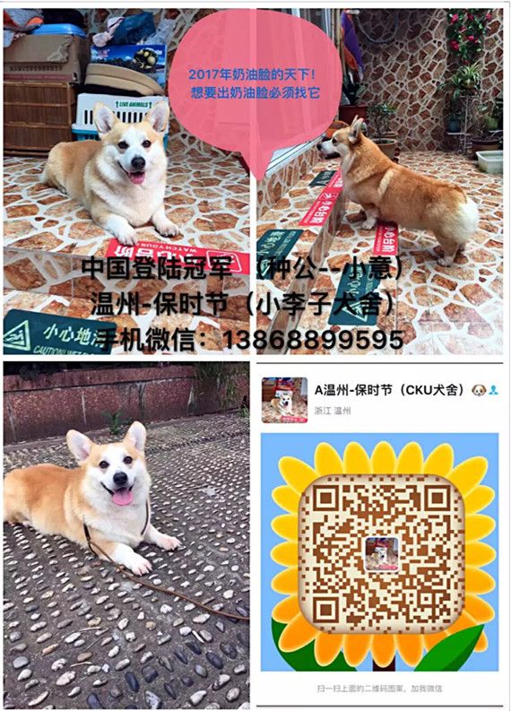 小意1.jpg