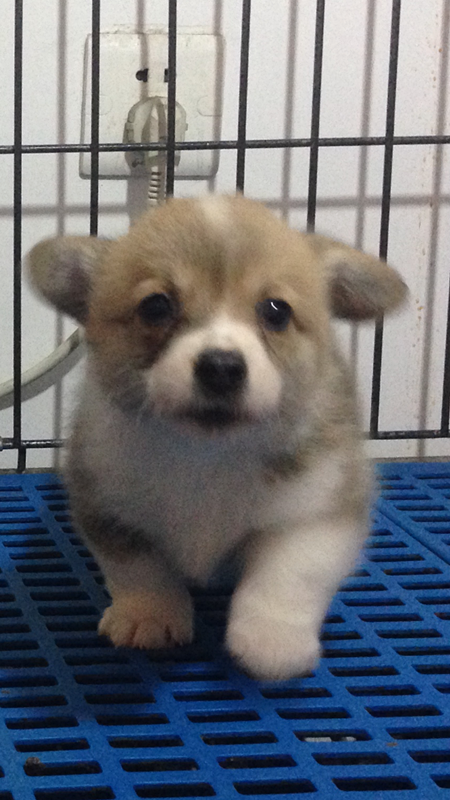 IMG_3297_副本.png