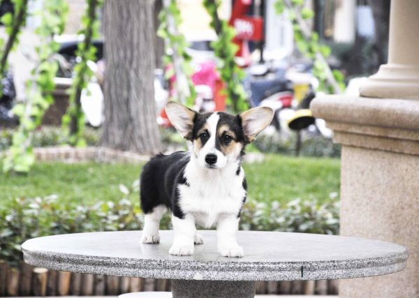 MM (1).JPG