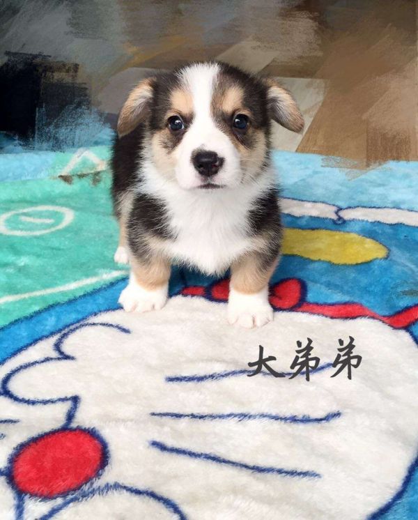 大弟弟1.jpg