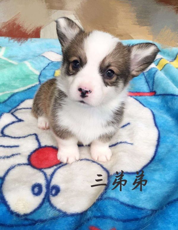 三弟弟1.jpg