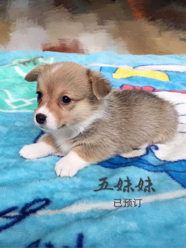 五妹妹1.jpg