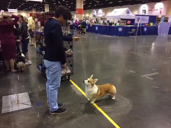 89869