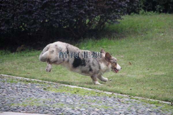 照片 4217.jpg