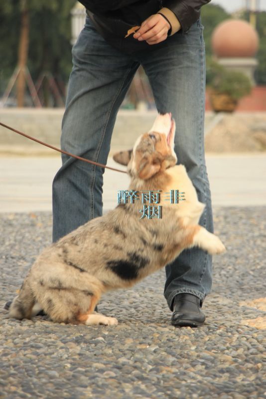 照片 4220.jpg