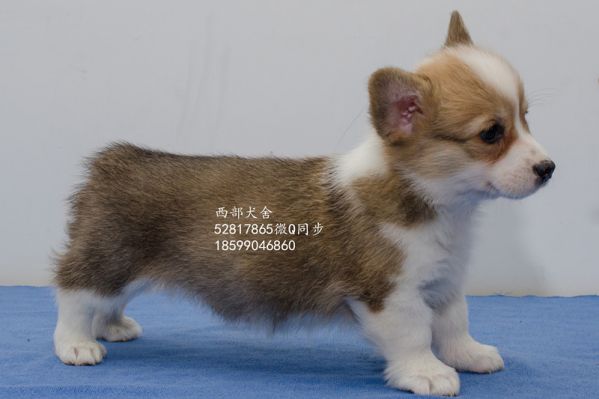 DSC_5657_副本_副本.jpg