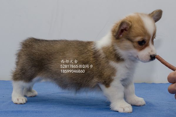 DSC_5655_副本_副本.jpg