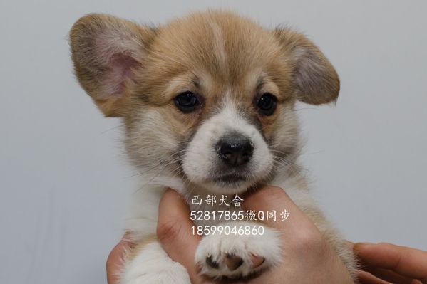 DSC_5613_副本_副本.jpg