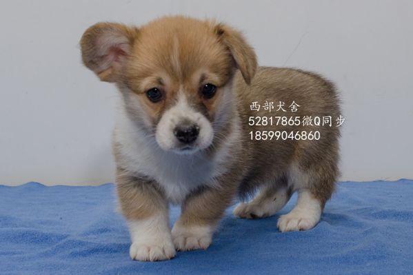 DSC_5602_副本_副本.jpg