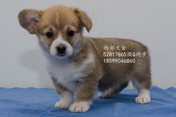 DSC_5606_副本_副本.jpg