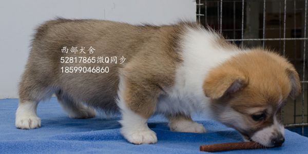 DSC_5611_副本_副本.jpg