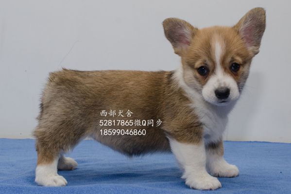 DSC_5619_副本_副本.jpg