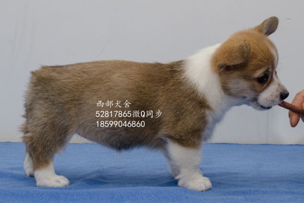 DSC_5614_副本_副本.jpg