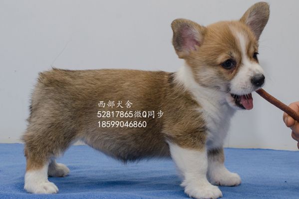 DSC_5618_副本_副本.jpg
