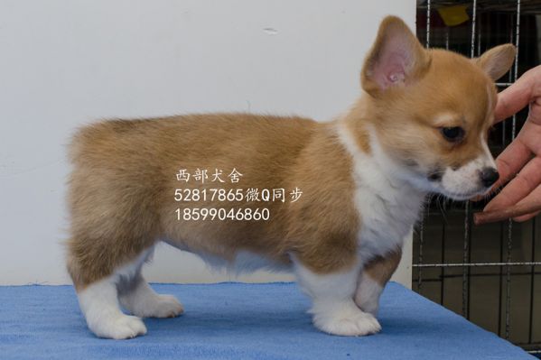 DSC_5627_副本_副本.jpg
