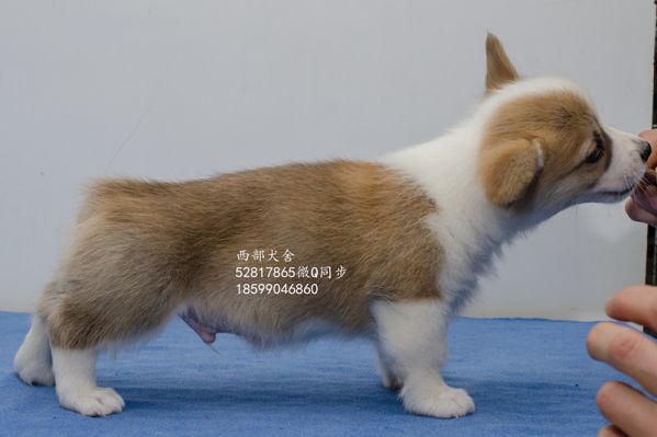 DSC_5646_副本_副本.jpg