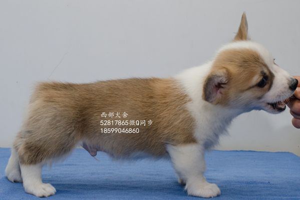 DSC_5645_副本_副本.jpg
