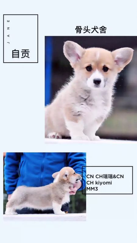 母
