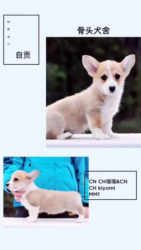 母