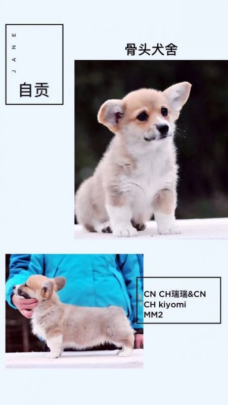 母