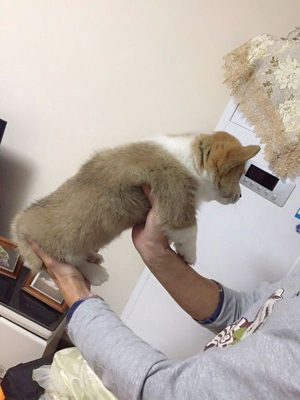 QQ图片20161204214227.jpg