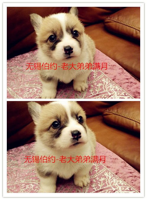 aamy111_副本.jpg
