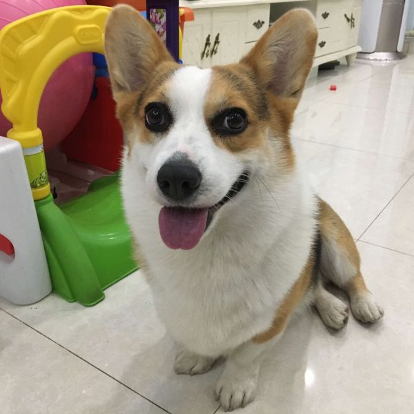 威廉3.JPG