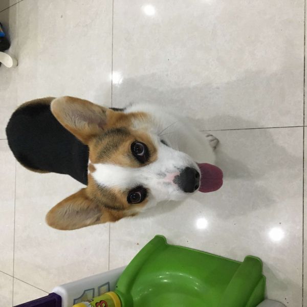 威廉1.JPG
